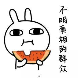 娱乐吃瓜酱短暂的高薪,揭秘短暂辉煌背后的故事